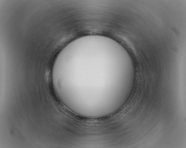 X0000112160123200908070946