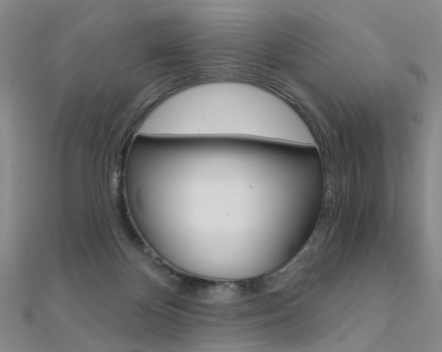 X0000112160124200908070946