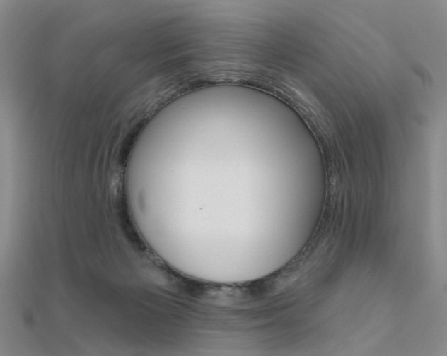 X0000112160125200908070946