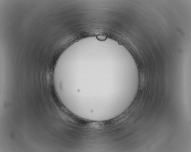 X0000112160126200908070946