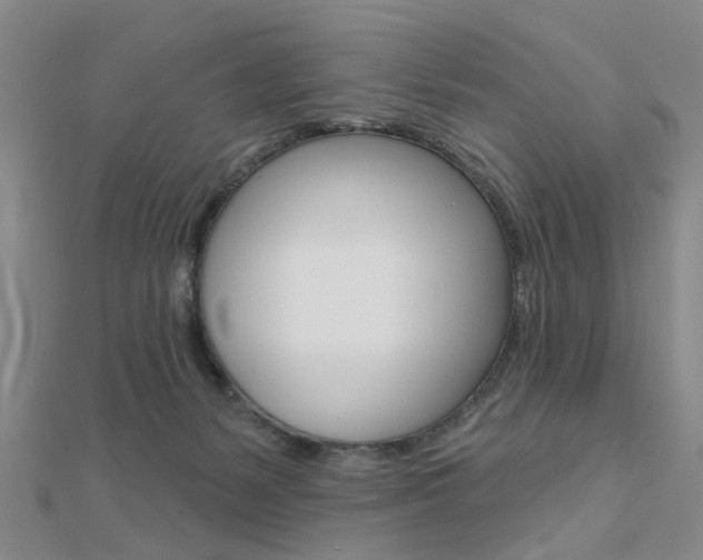 X0000112160127200908070946