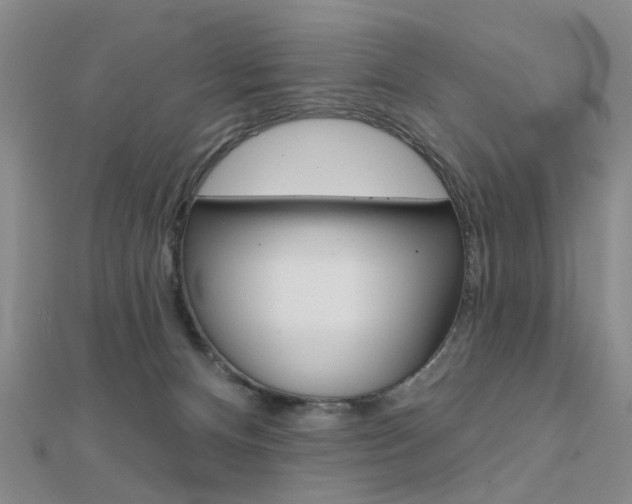 X0000112160128200908070946