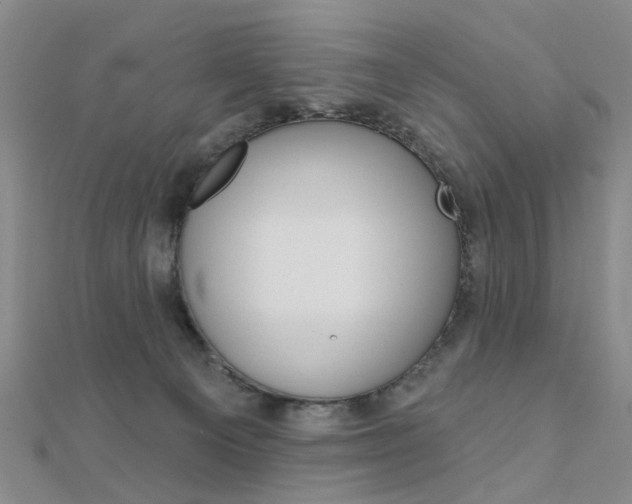 X0000112160129200908070946
