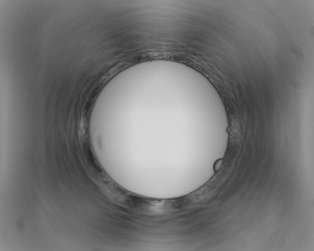 X0000112160130200908070946