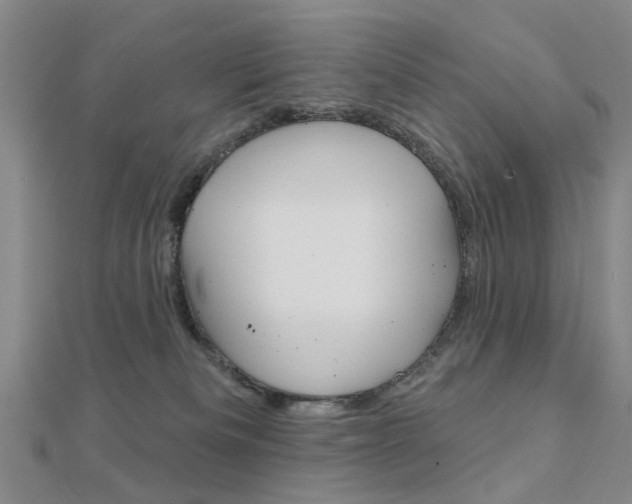 X0000112160133200908070946