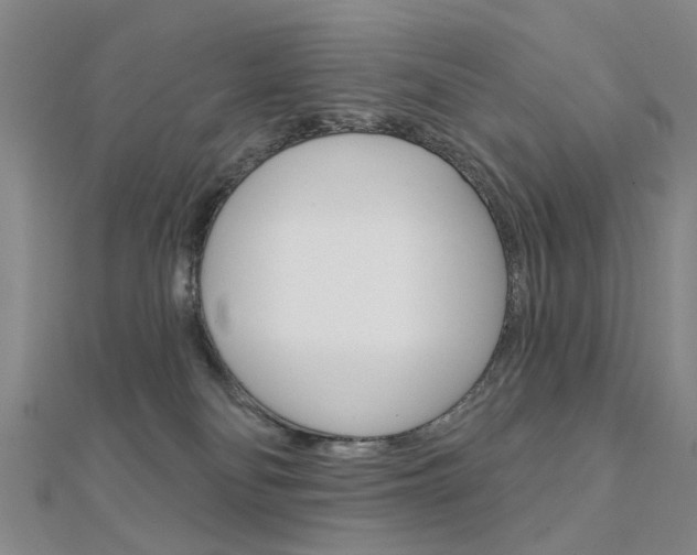 X0000112160134200908070946