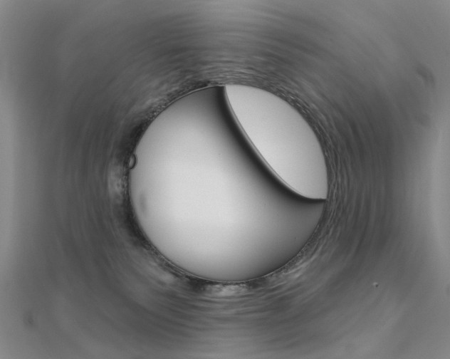 X0000112160135200908070946