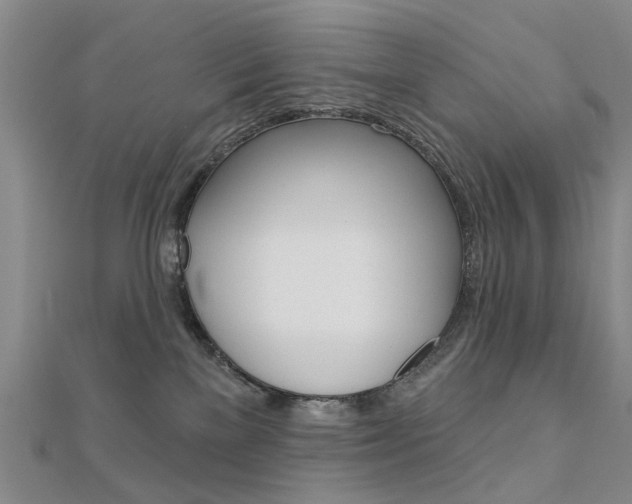 X0000112160137200908070946