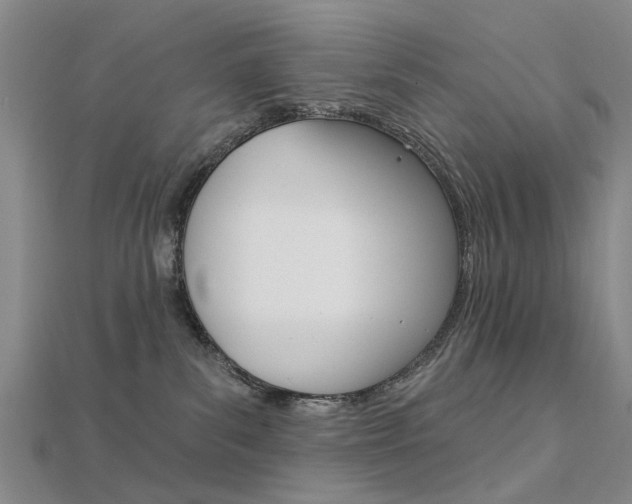 X0000112160139200908070946