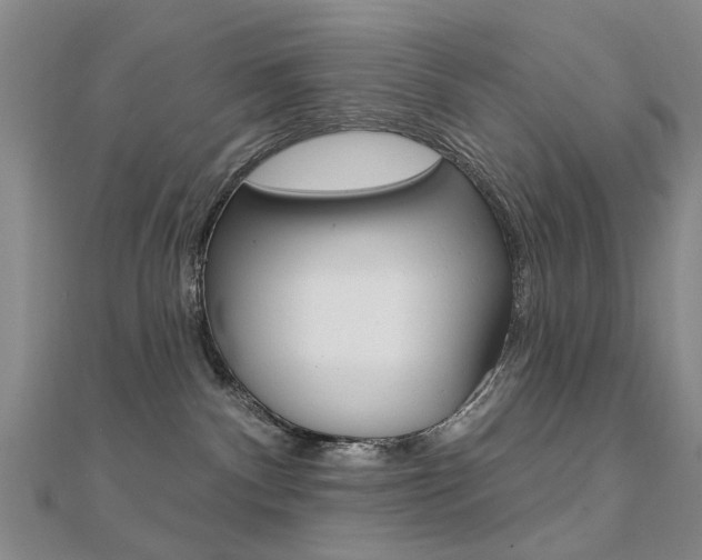 X0000112160140200908070946