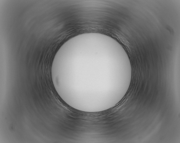 X0000112160141200908070946