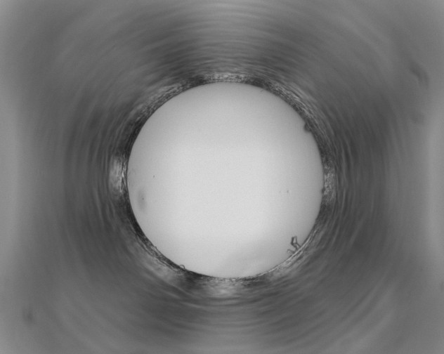 X0000112160142200908070946