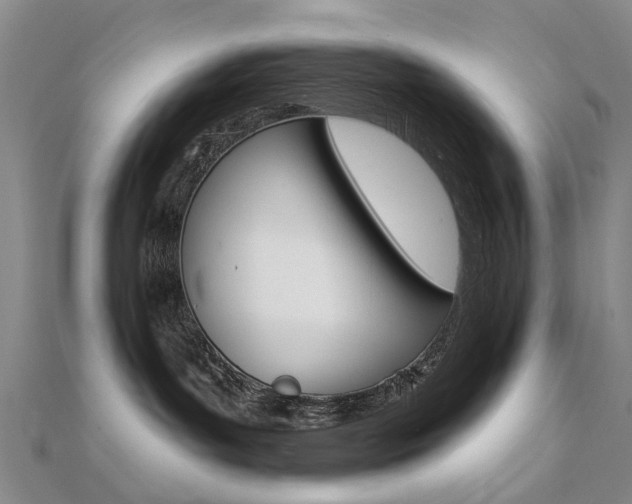 X0000112160143200908070946