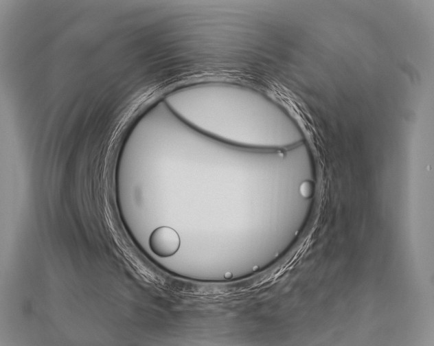 X0000112160145200908070945