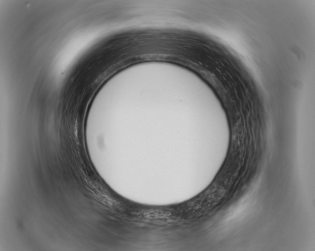 X0000112160146200908070945