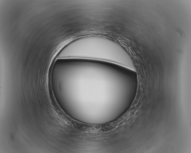 X0000112160148200908070945
