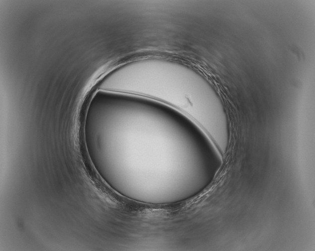 X0000112160150200908070946