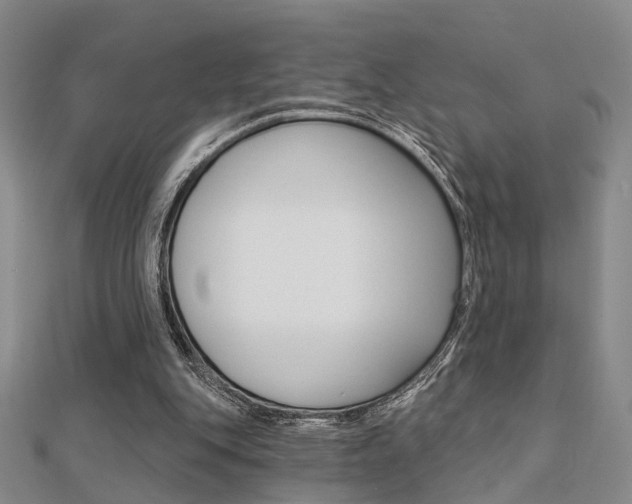 X0000112160151200908070946
