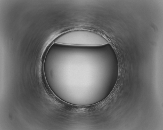 X0000112160152200908070946