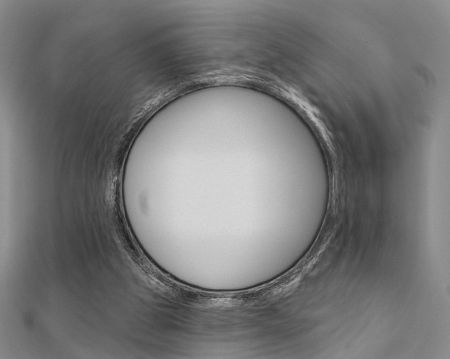 X0000112160153200908070946