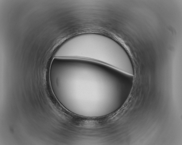 X0000112160154200908070946