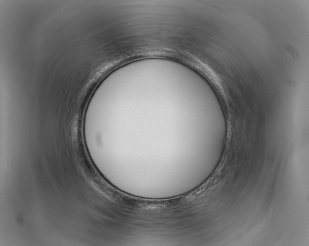 X0000112160155200908070946