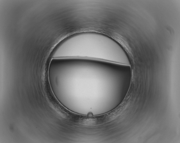X0000112160156200908070946