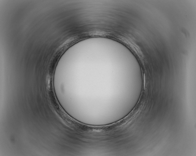 X0000112160157200908070946