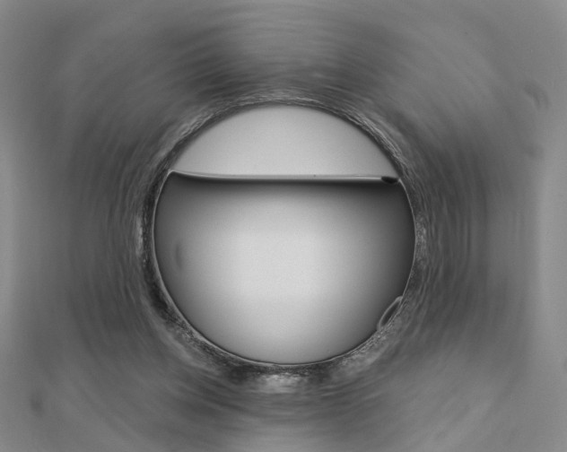 X0000112160158200908070946