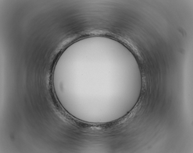 X0000112160159200908070946