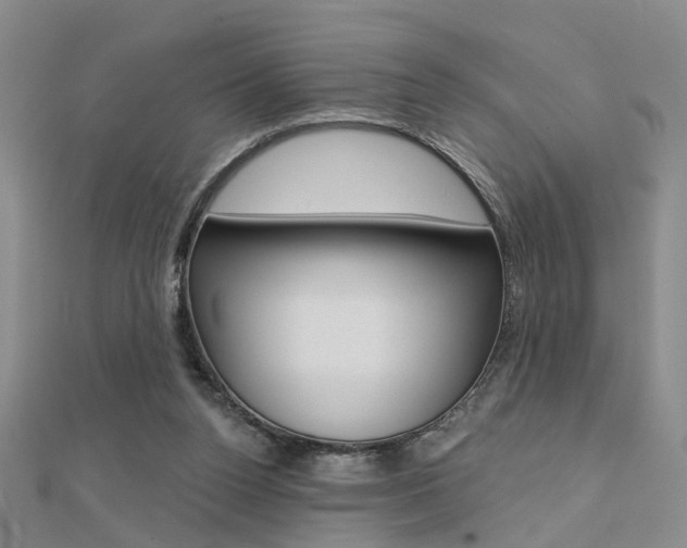 X0000112160160200908070946