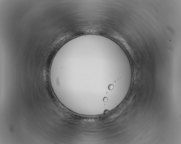 X0000112160161200908070946