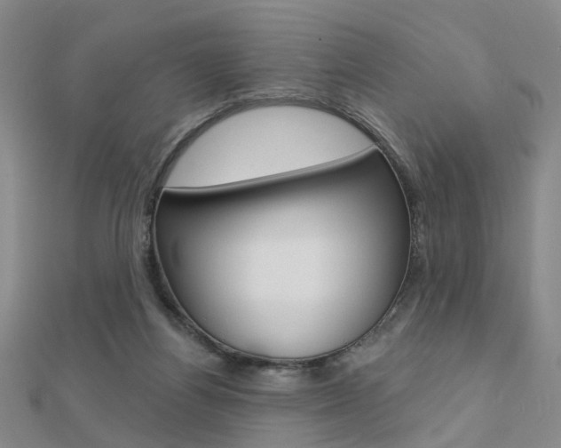 X0000112160164200908070946