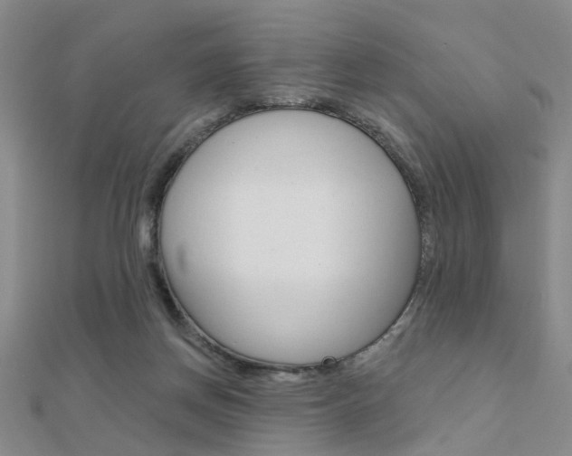 X0000112160166200908070946