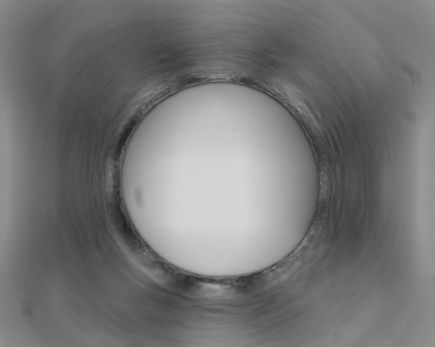X0000112160167200908070946