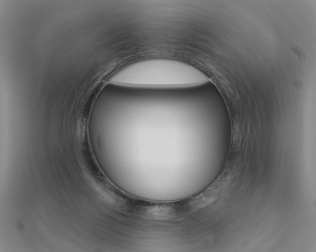 X0000112160168200908070946