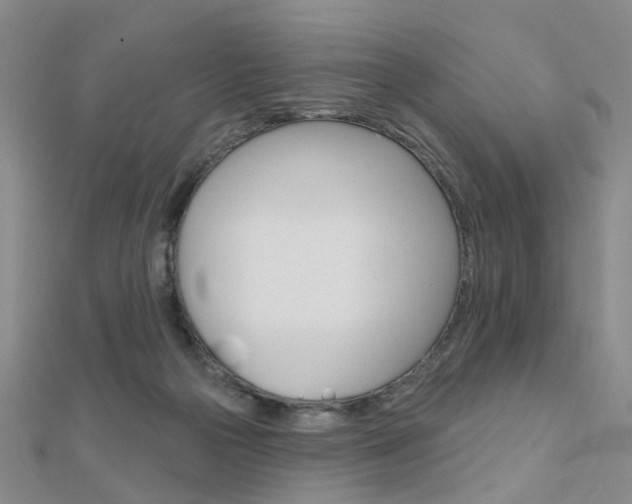 X0000112160169200908070946