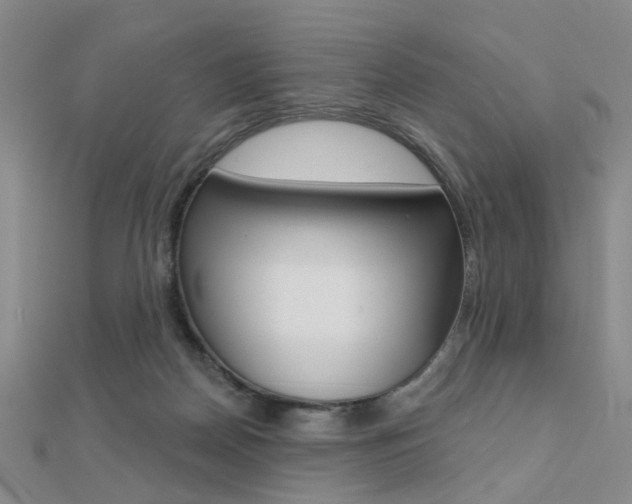 X0000112160170200908070946