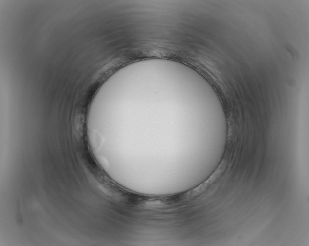 X0000112160171200908070946