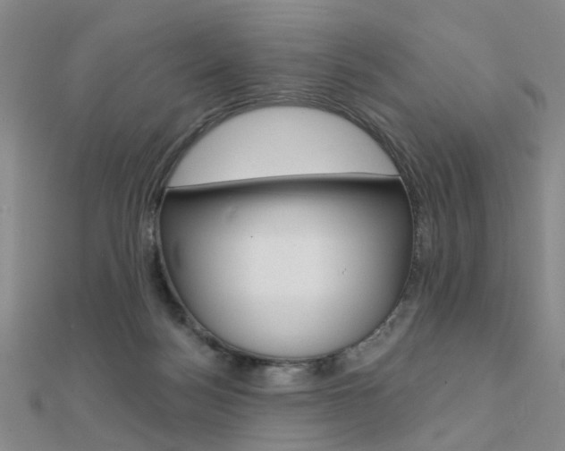 X0000112160172200908070946
