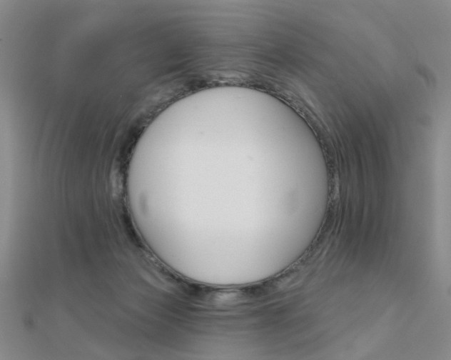 X0000112160173200908070946