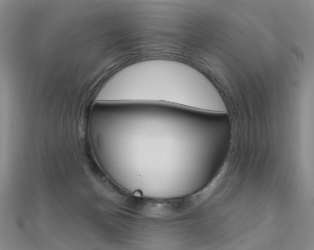X0000112160174200908070946