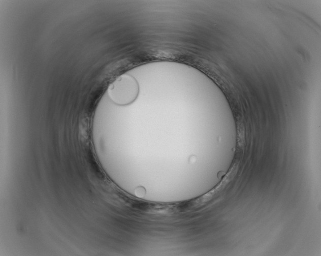 X0000112160175200908070946