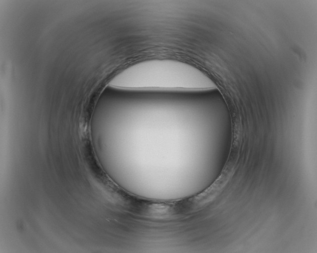 X0000112160176200908070946