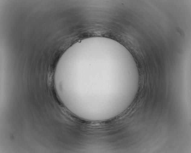 X0000112160177200908070946