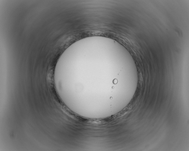 X0000112160181200908070946