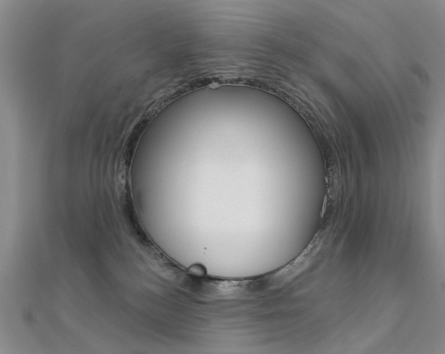 X0000112160184200908070946