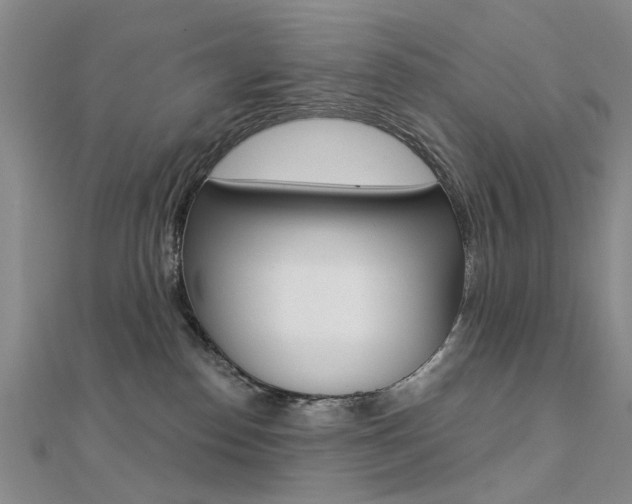 X0000112160186200908070946