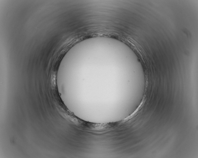 X0000112160191200908070946