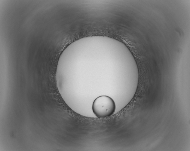 X0000112160192200908070946